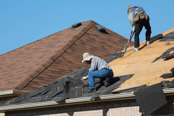 Best Roof Leak Repair  in South Browning, MT